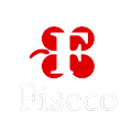 http://fiseco.org/wp-content/uploads/2022/05/fiseco-asesoria.png 2x